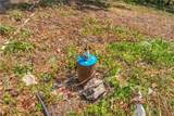 28186 Brushy Chapel Avenue - Photo 72