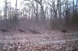 33001 Panther Way - Photo 15
