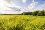 Lot 5 Timber Ridge Drive - Photo 22
