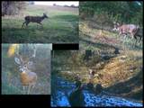  115 Road - Photo 10