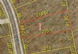 Lot 156 Carol Road - Photo 1