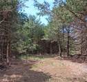  Highway 75 Highway - Photo 1