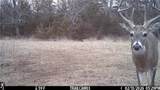 2354 65th Street - Photo 17