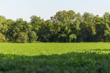 TBD State Route E N/A - Photo 34