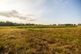  355th Street - Photo 43