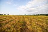  355th Street - Photo 46