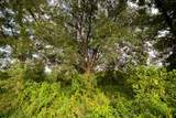  355th Street - Photo 55