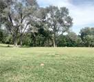31608 Horn Circle - Photo 3