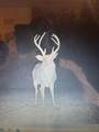 0 Hogback Road - Photo 2