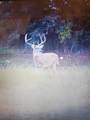 0 Hogback Road - Photo 11