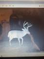 0 Hogback Road - Photo 3
