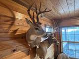0 Hogback Road - Photo 40