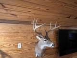 0 Hogback Road - Photo 41