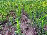 0 Hogback Road - Photo 48