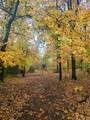 0 Hogback Road - Photo 7