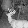 0 Hogback Road - Photo 61