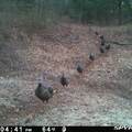 0 Hogback Road - Photo 62