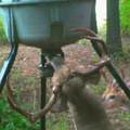 0 Hogback Road - Photo 63