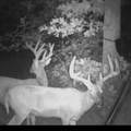 0 Hogback Road - Photo 64