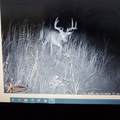 0 Hogback Road - Photo 65