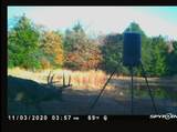 0 Hogback Road - Photo 66