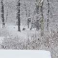 0 Hogback Road - Photo 67