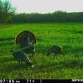 0 Hogback Road - Photo 69