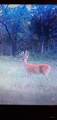 0 Hogback Road - Photo 71