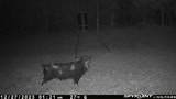 0 Hogback Road - Photo 72