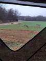 0 Hogback Road - Photo 9