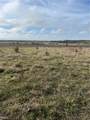 2260 Louisiana Road - Photo 2