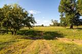  630 Road - Photo 40