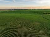64919 Yankton Road - Photo 30