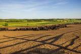 64919 Yankton Road - Photo 84