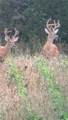 TBD County Road T N/A - Photo 32