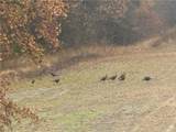 TBD County Road T N/A - Photo 35
