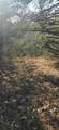  207th Street - Photo 6