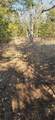 207th Street - Photo 8