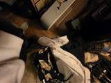 516 4th Street - Photo 10
