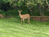 720 800th Road - Photo 61