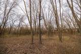 7 203 Road - Photo 86