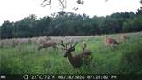 624 Ohio Road - Photo 1