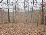 80 +/- Acres Proctor Lane - Photo 14
