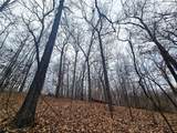 80 +/- Acres Proctor Lane - Photo 15
