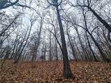 80 +/- Acres Proctor Lane - Photo 16