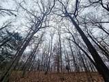 80 +/- Acres Proctor Lane - Photo 17