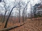 80 +/- Acres Proctor Lane - Photo 19