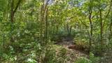80 +/- Acres Proctor Lane - Photo 3