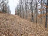 80 +/- Acres Proctor Lane - Photo 27