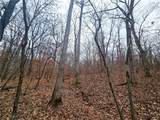 80 +/- Acres Proctor Lane - Photo 29